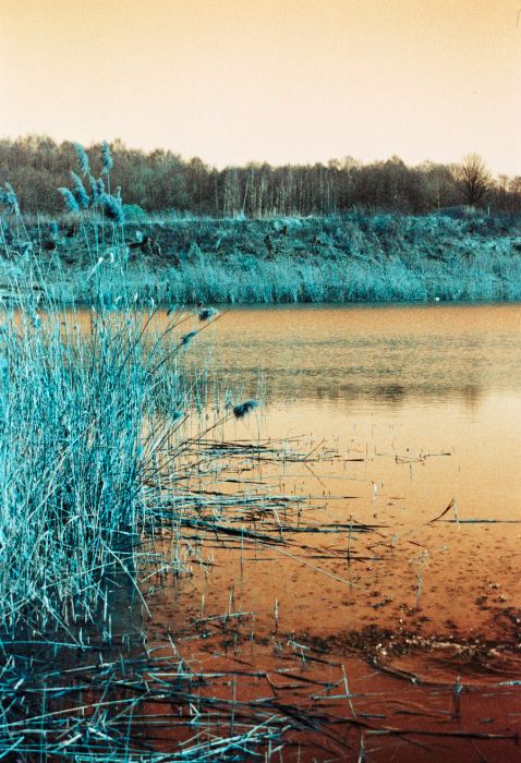 Lomography Turquoise XR 100 - 400 · Praktica BMS + Prakticar 28mm F/2.8