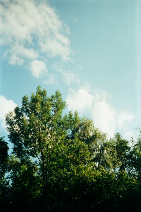Kodak Gold 200 · Canon Eos 5 + Canon EF 85mm F/1.8