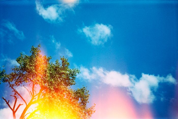 Kodak Gold 200 · Canon Eos 5 + Canon EF 85mm F/1.8